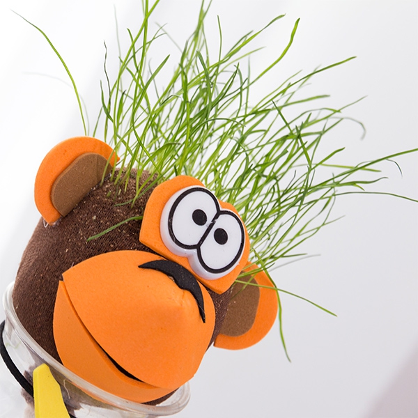 Grass Head Pet