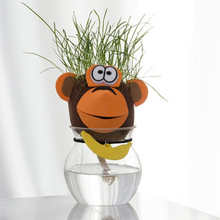 Grass Head Pet