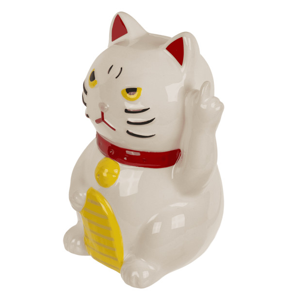 The Angry Cat Saver