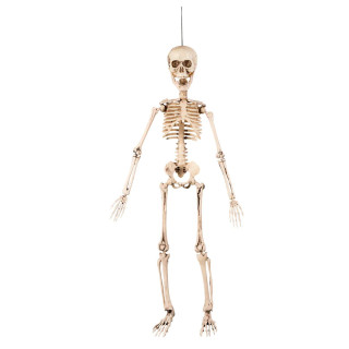 Decoration ''Skeleton'' (50 cm)