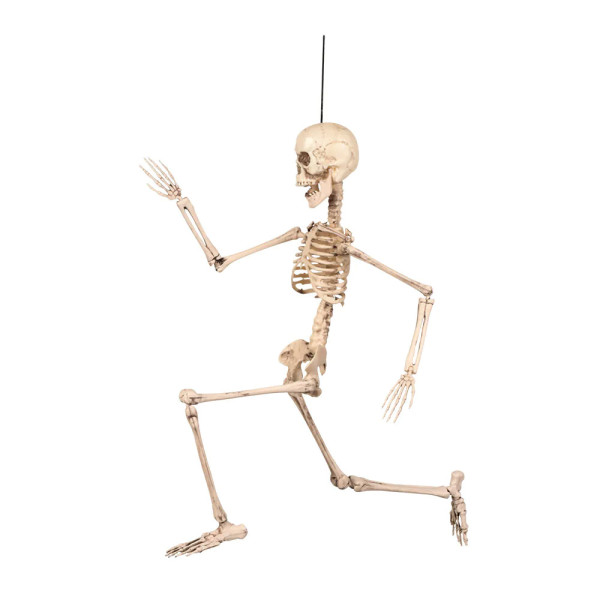 Decoration ''Skeleton'' (50 cm) Decoration ''Skeleton'' (50 cm)