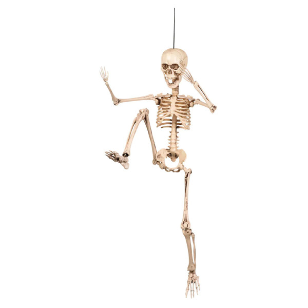 Decoration ''Skeleton'' (50 cm) Decoration ''Skeleton'' (50 cm)