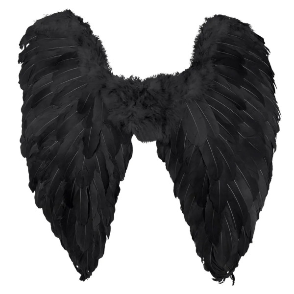 Black angel wings Black angel wings
