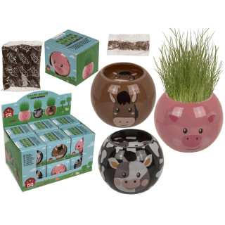 Grow-a-head - Farm Animal