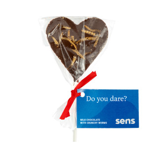 Milk Chocolate Lollipop with Crispy Roasted Worms