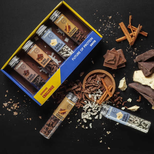 Gift Set of Crispy Roasted Crickets with Chocolate in Gift Box