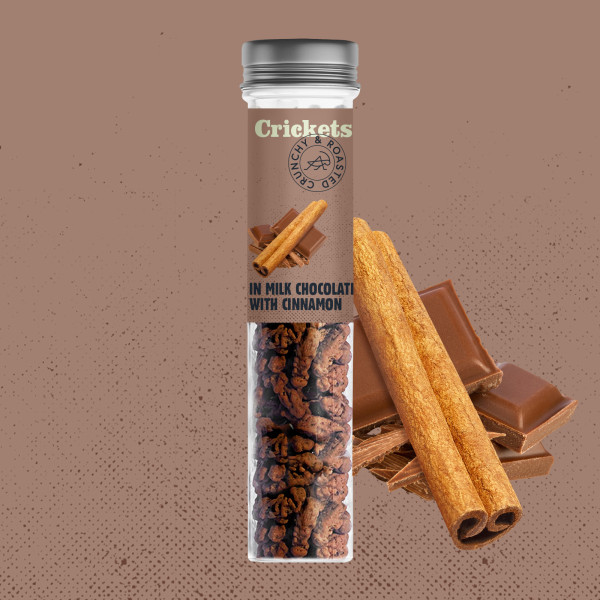 Gift Set of Crispy Roasted Crickets with Chocolate in Gift Box