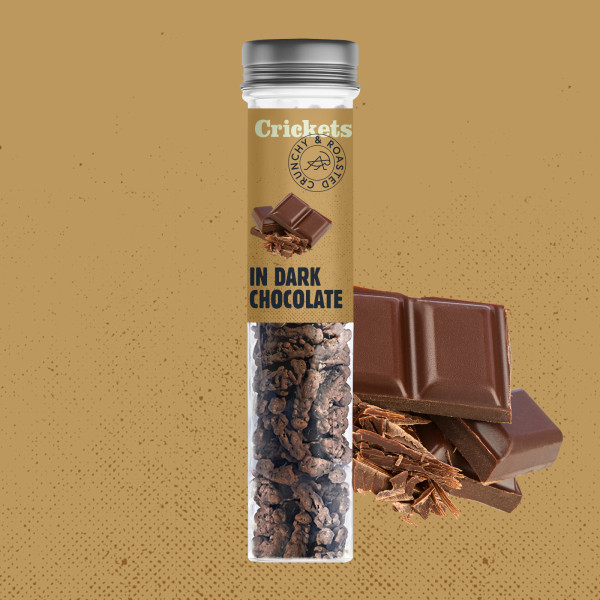 Gift Set of Crispy Roasted Crickets with Chocolate in Gift Box