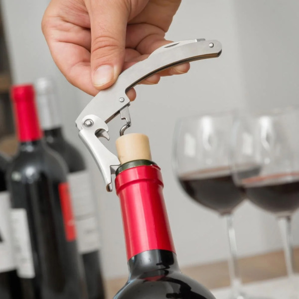 Wine Tool Set in a Bottle (5 Pieces)