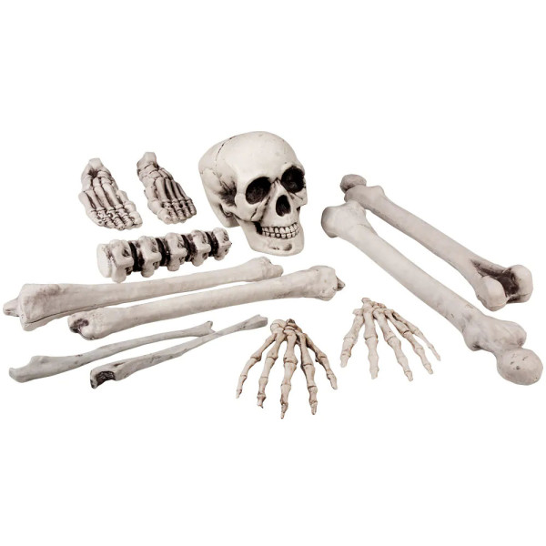12-Piece Skull and Bones Set (40cm) 12-Piece Skull and Bones Set (40cm)
