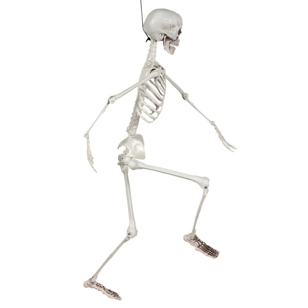 Decoration "Skeleton" (90cm)