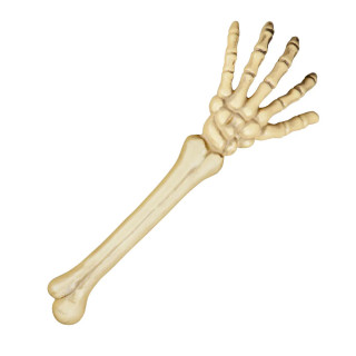 Skeleton Hand (46cm)