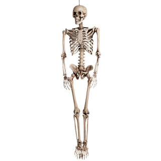 XXL Decoration "Skeleton" (165cm)