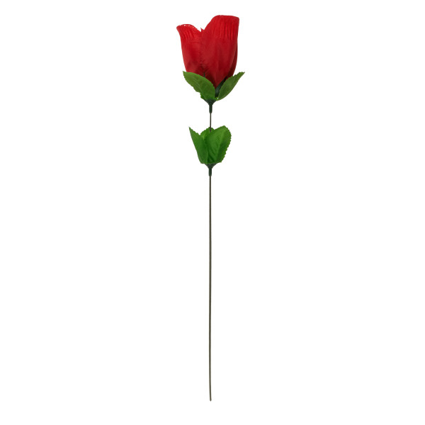 Rose "Thongs" Rose "Thongs"