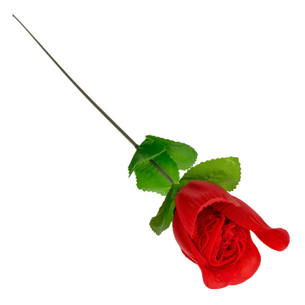 Rose "Thongs" Rose "Thongs"