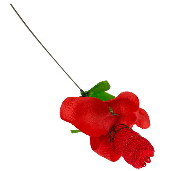 Rose "Thongs" Rose "Thongs"