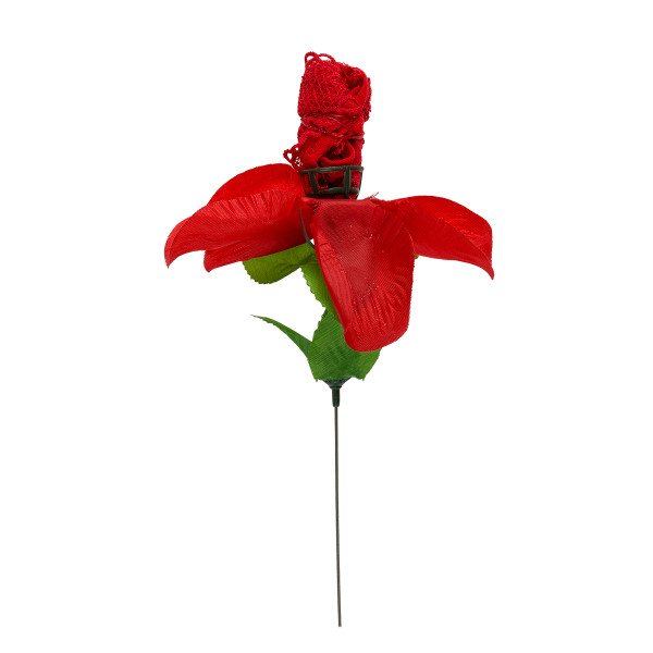 Rose "Thongs" Rose "Thongs"