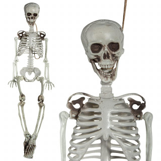 Decoration "Skeleton" (90cm)