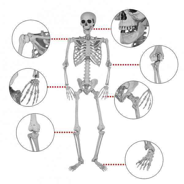 XXL Decoration "Skeleton" (165cm)