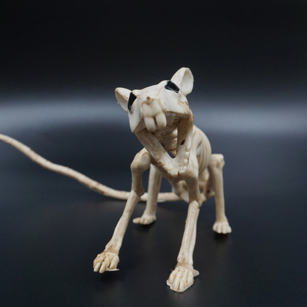 Halloween Figurine "Rat Skeleton" Halloween Figurine "Rat Skeleton"