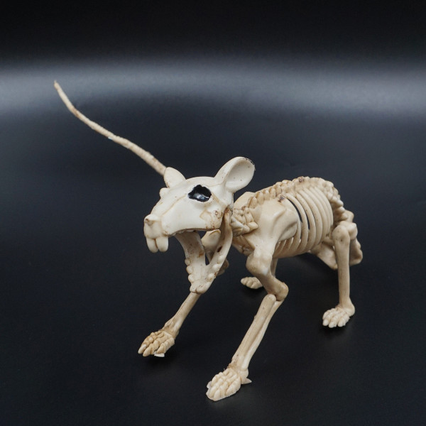 Halloween Figurine "Rat Skeleton" Halloween Figurine "Rat Skeleton"