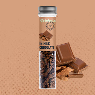 Crunchy Roasted Crickets "In Milk Chocolate"