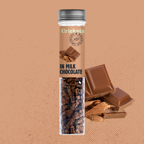 Crunchy Roasted Crickets "In Milk Chocolate" Crunchy Roasted Crickets "In Milk Chocolate"