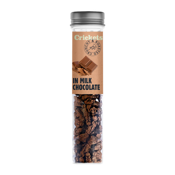 Crunchy Roasted Crickets "In Milk Chocolate" Crunchy Roasted Crickets "In Milk Chocolate"