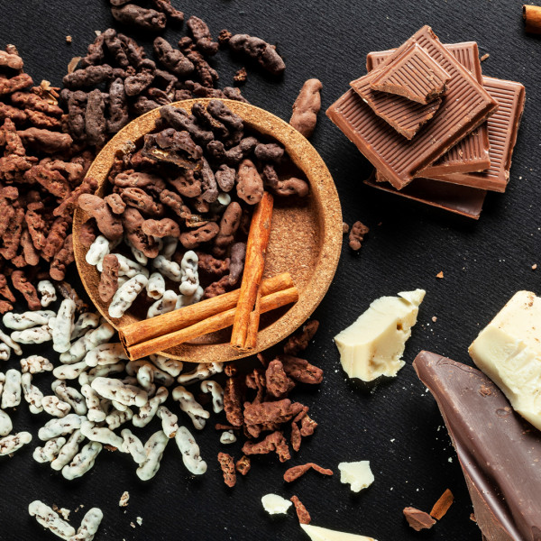 Crunchy Roasted Crickets "In Milk Chocolate" Crunchy Roasted Crickets "In Milk Chocolate"