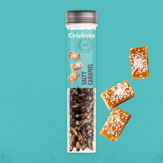 Crunchy Roasted Crickets "Salty Caramel"