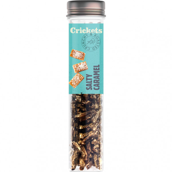 Crunchy Roasted Crickets "Salty Caramel" Crunchy Roasted Crickets "Salty Caramel"