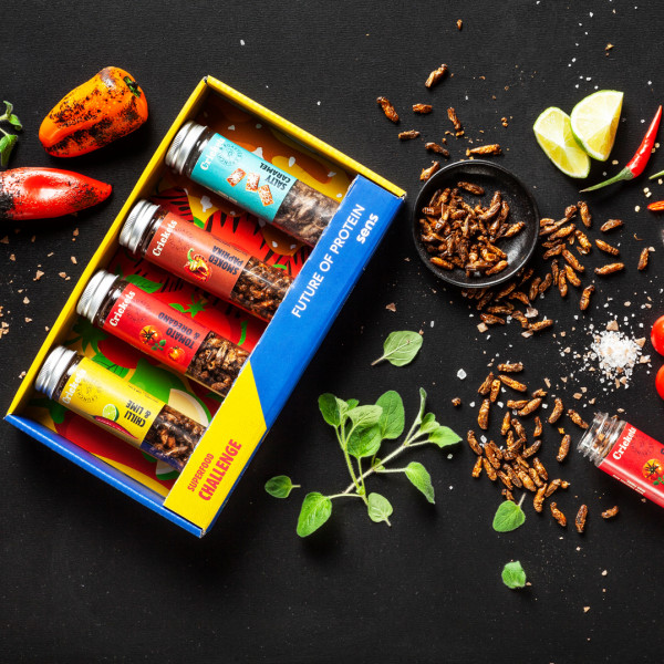 Gift Set of Crunchy Roasted Crickets
