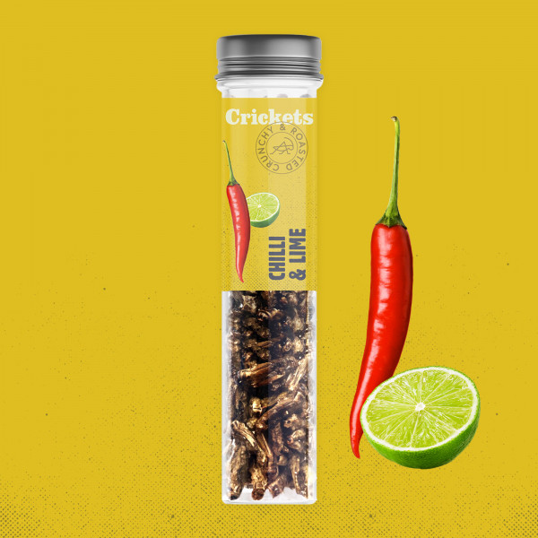 Crunchy Roasted Crickets "Chili and Lime" Crunchy Roasted Crickets "Chili and Lime"