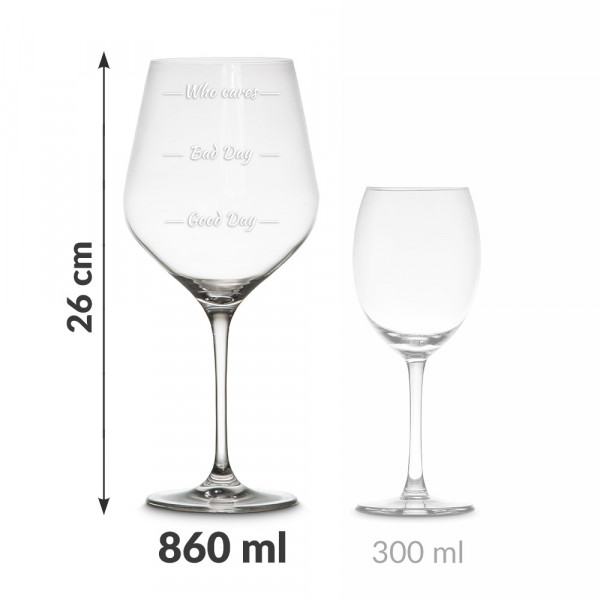 Wine and Whiskey Glass Set "Who Cares"