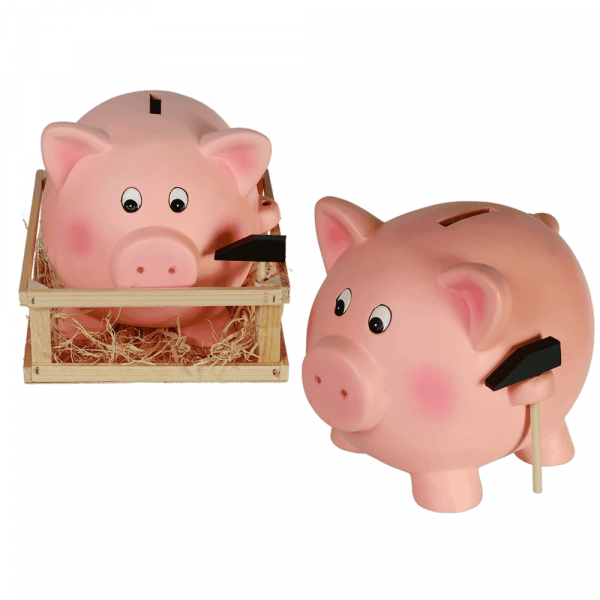 Gigantic piggy bank