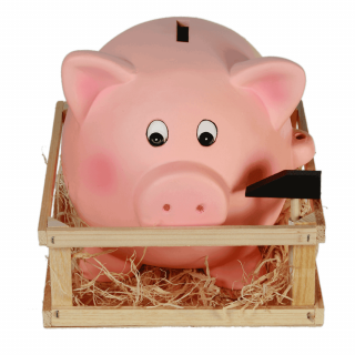 Gigantic piggy bank