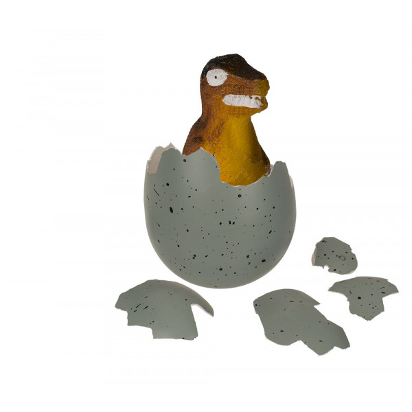 Grow Your Own Dinosaur from an Egg!