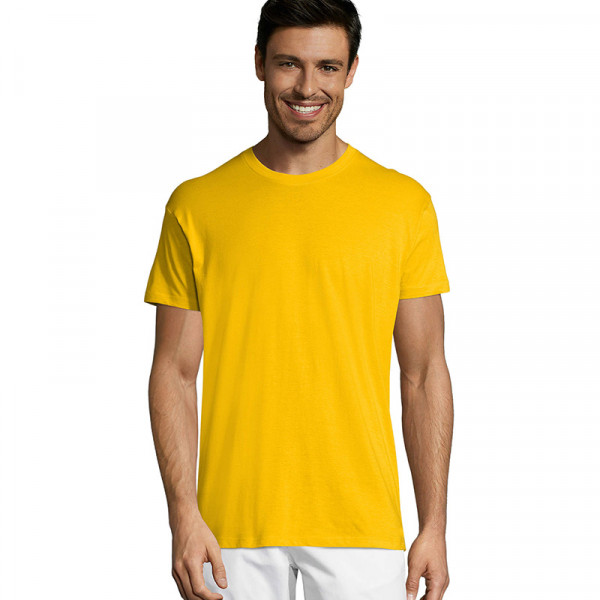 Male shirts without print