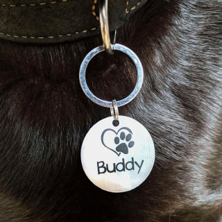 Pet Tag with Chosen Name