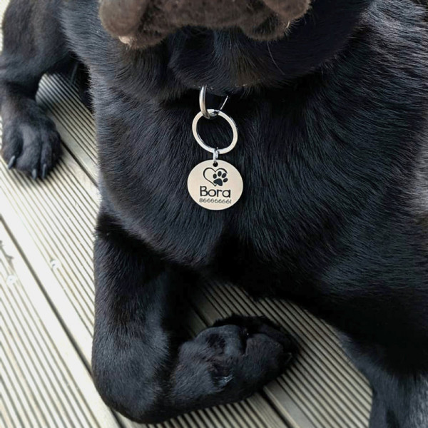 Pet Tag with Chosen Name Pet Tag with Chosen Name