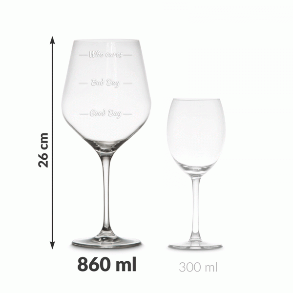 Wine Glass Set "Who Cares" Wine Glass Set "Who Cares"