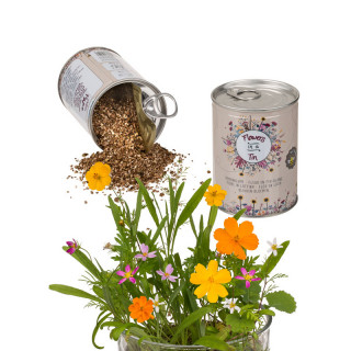 Grow Your Own "Flower Meadow" Grow Your Own "Flower Meadow"