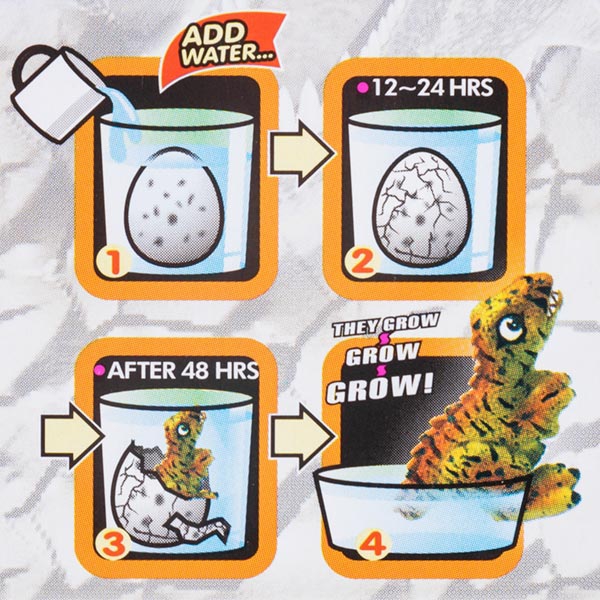 Grow Your Own MINI Dinosaur from an Egg! Grow Your Own MINI Dinosaur from an Egg!