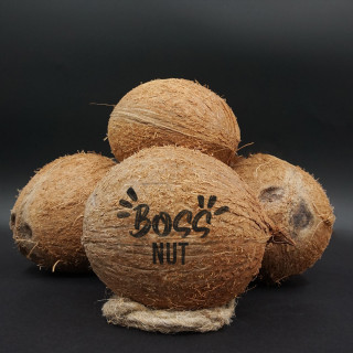 Engraved coconut "Boss Nut"
