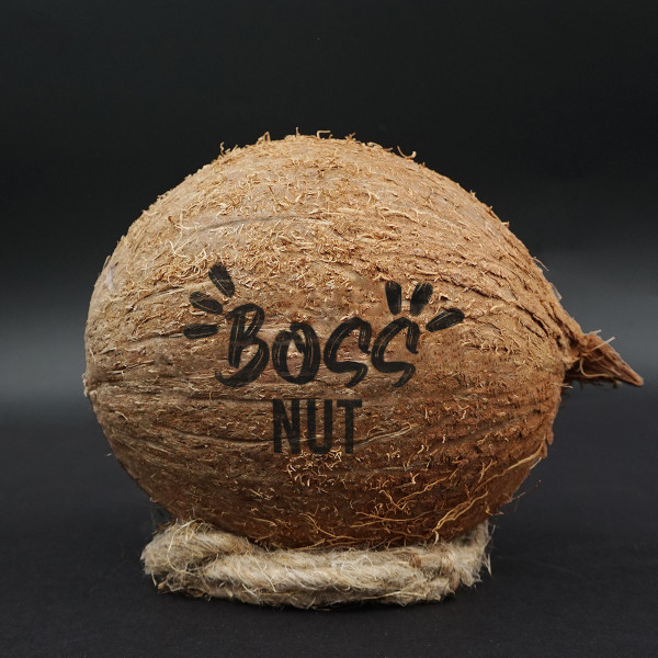 Engraved coconut "Boss Nut" Engraved coconut "Boss Nut"