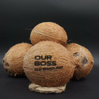 Engraved coconut "Tough nut"