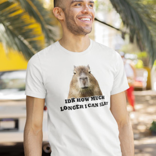 T-shirt "Idk how much longer"