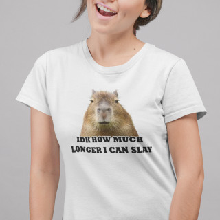 Women's T-shirt "Idk how much longer"