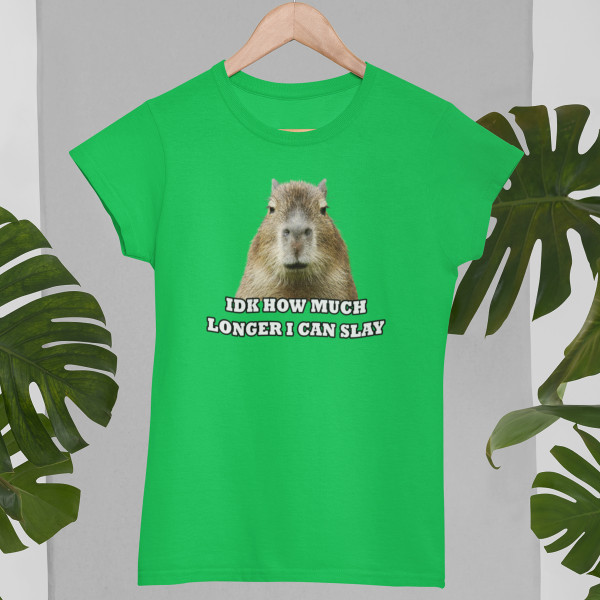 Women's T-shirt "Idk how much longer"