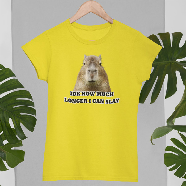 Women's T-shirt "Idk how much longer"